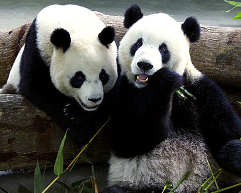 China Tours & China Holidays - Tourist Attractions Guide