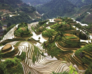 terraced rice fields of Lonji