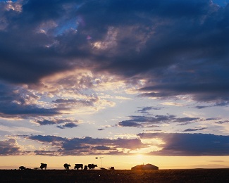 the blue skies of Mongolia